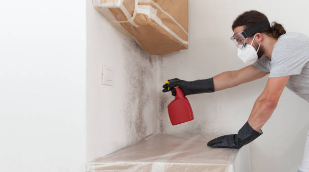 Professional Bathroom Mold Removal technician working in Belvidere, NC